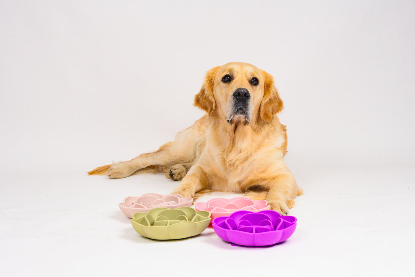 Flower Slow Feeder - Violet