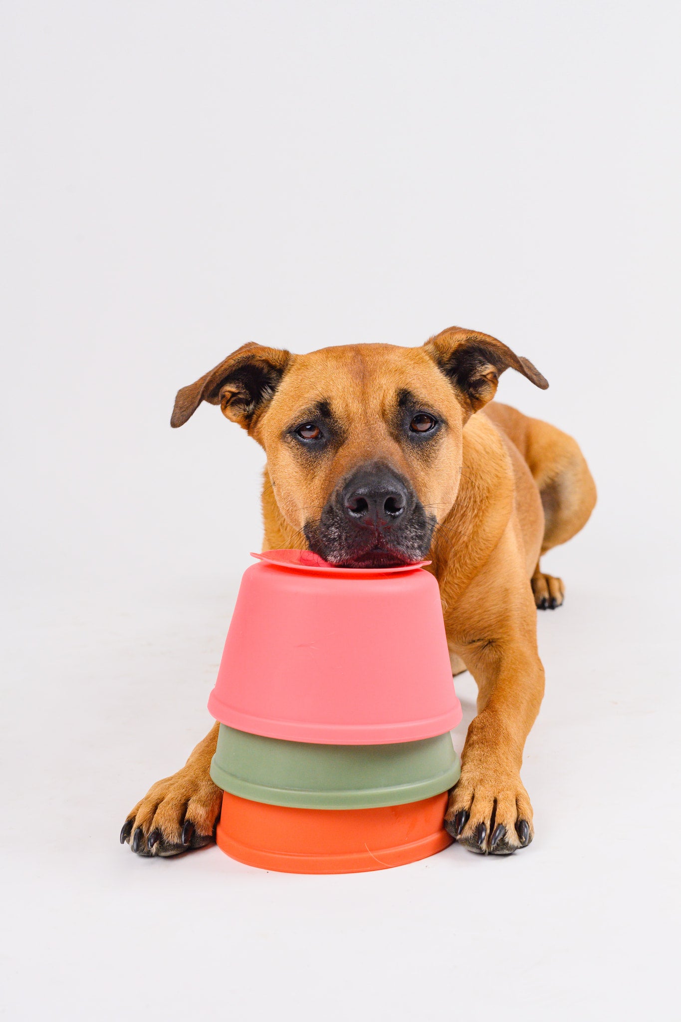 Pup Cup Slow Feeder - Terracotta