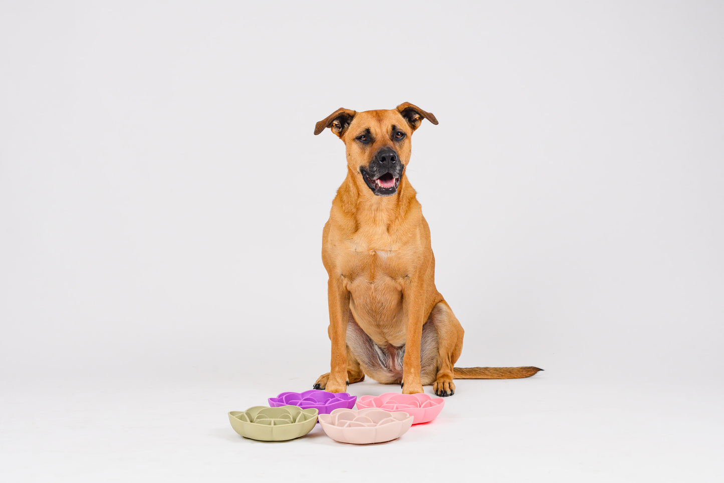 Flower Slow Feeder - Oatmeal