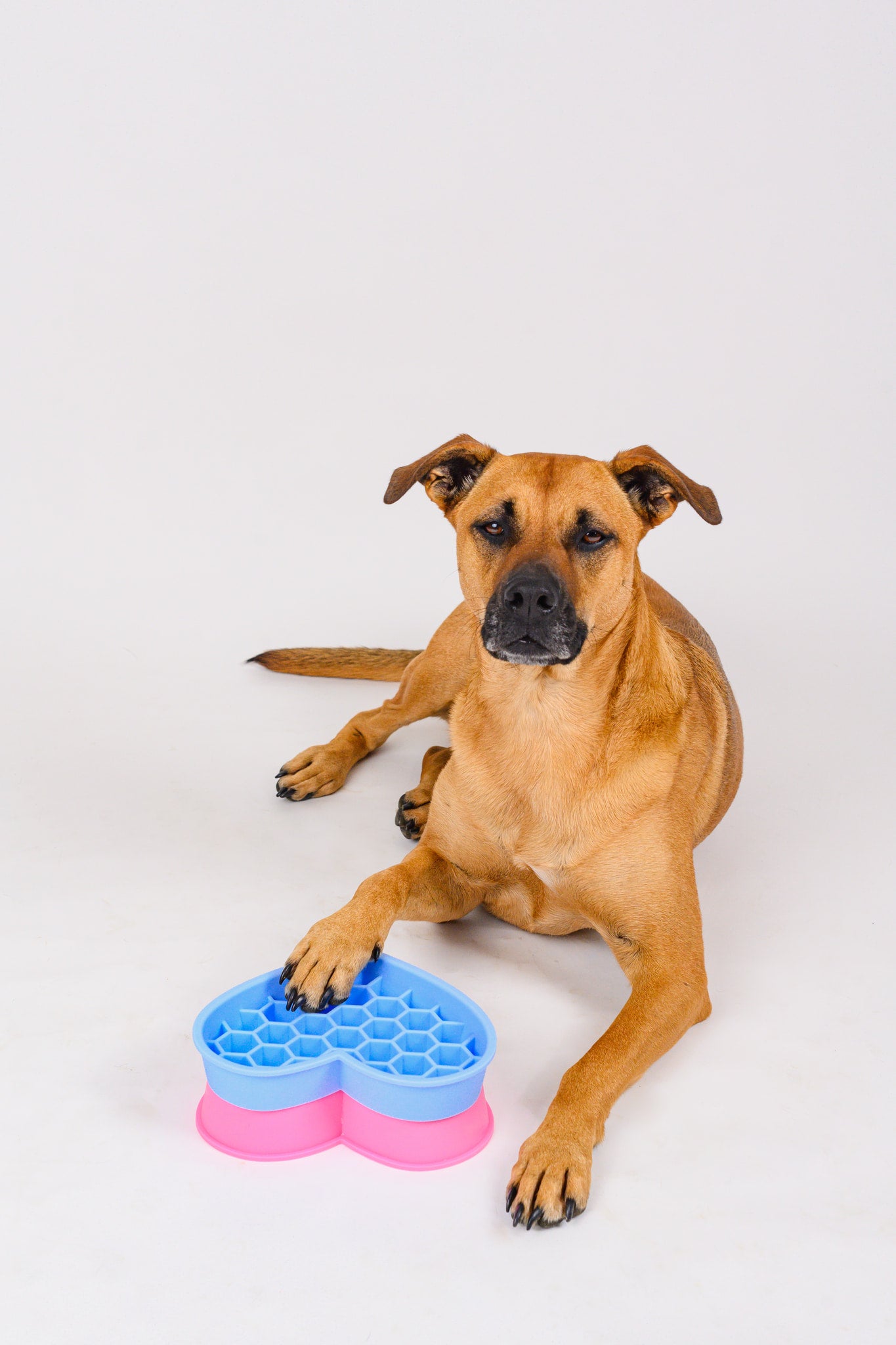 2-in-1 Heart Slow Feeder & Lick Mat - Sky