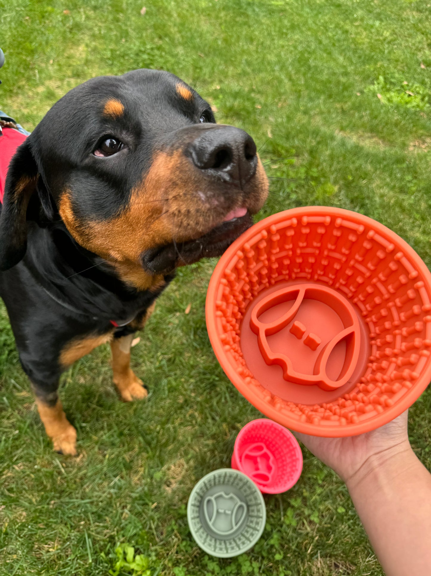Pup Cup Slow Feeder - Terracotta