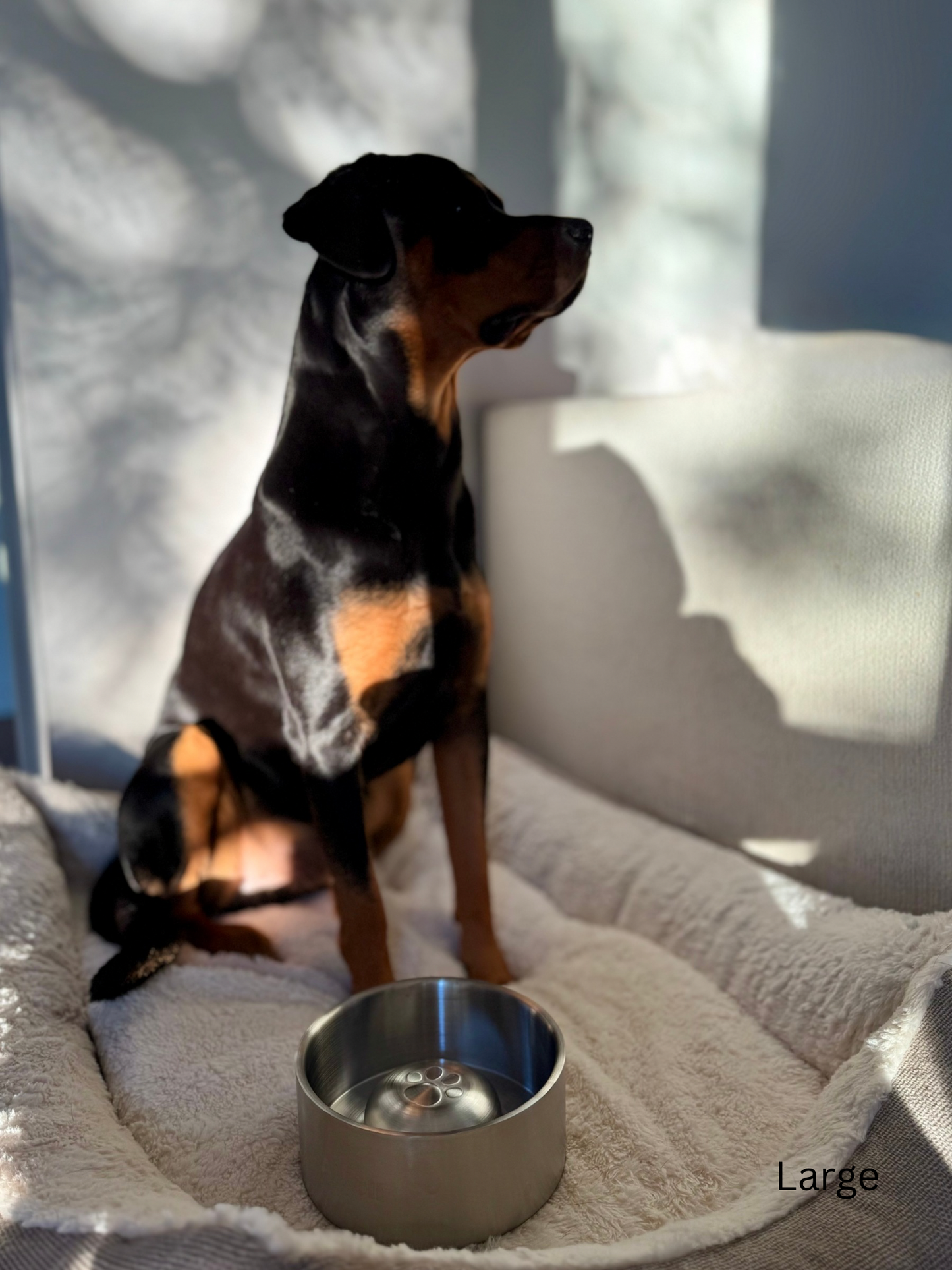 Insulated Stainless Steel Slow Feeder