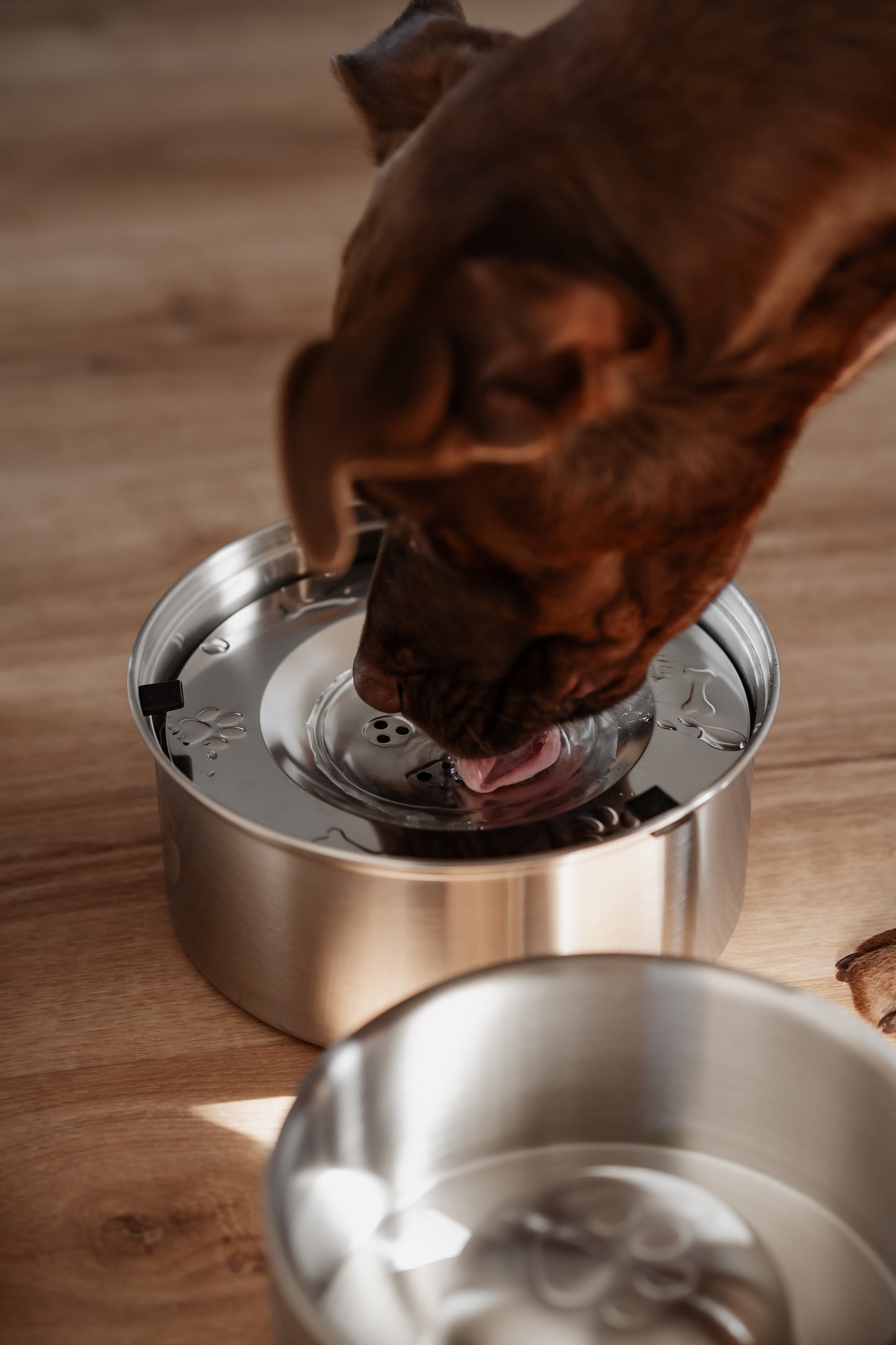 Stainless steel non-spilling water bowl