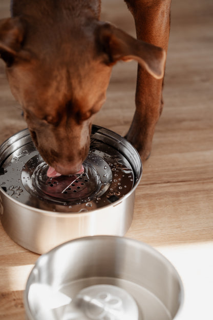 Stainless steel non-spilling water bowl