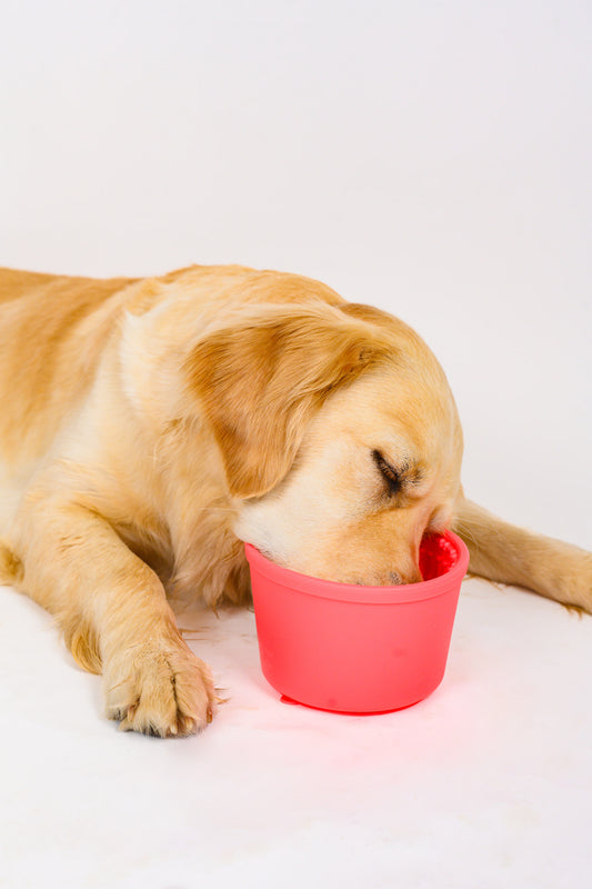 Pup Cup Slow Feeder - Barbie