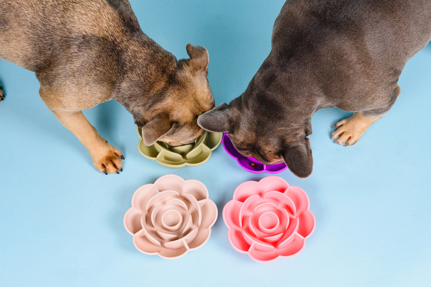 Flower Slow Feeder - Cotton Candy