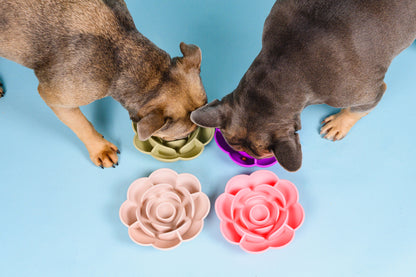 Flower Slow Feeder - Cotton Candy