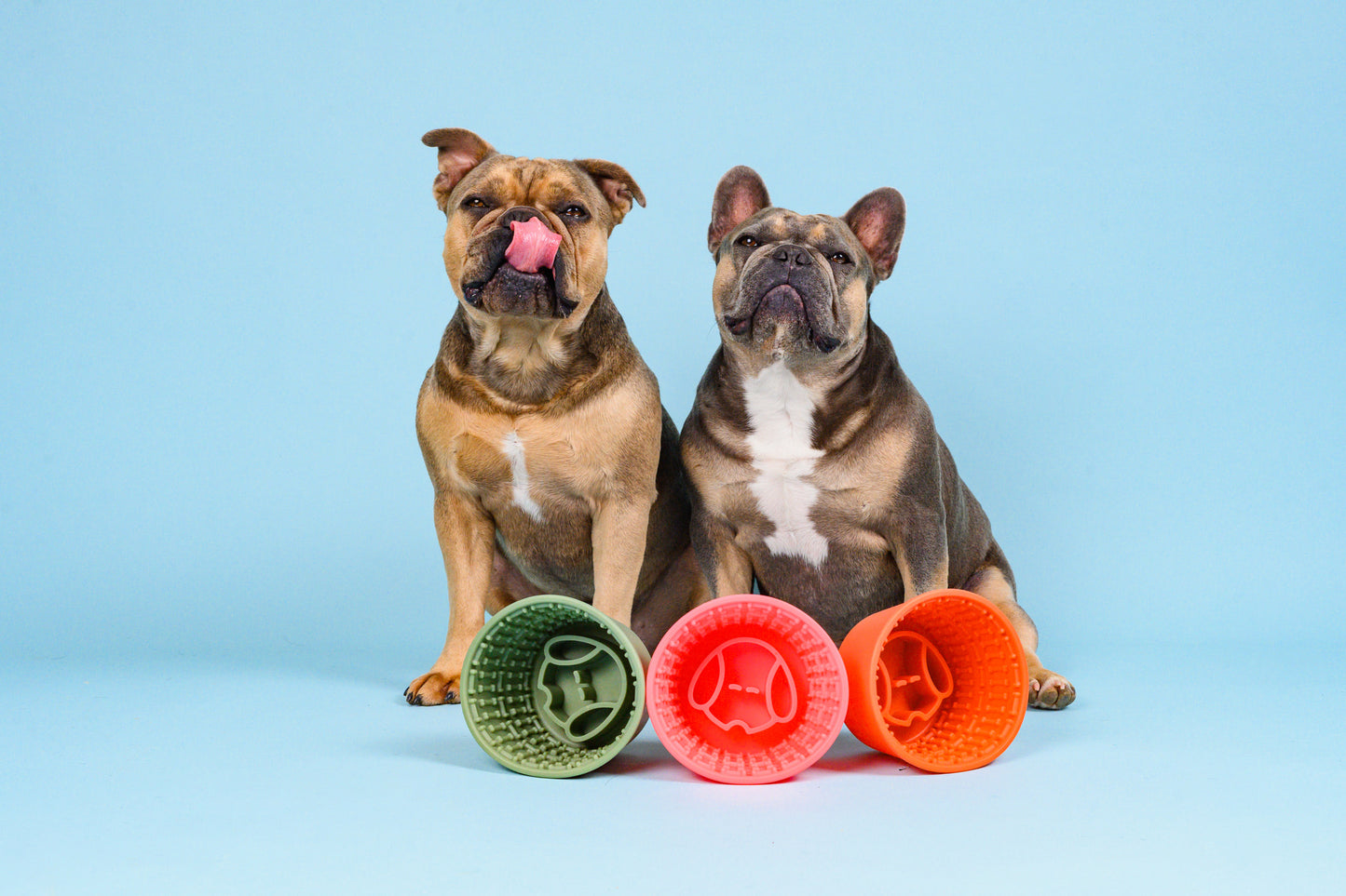 Pup Cup Slow Feeder - Forest