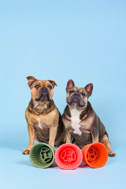 Pup Cup Slow Feeder - Barbie