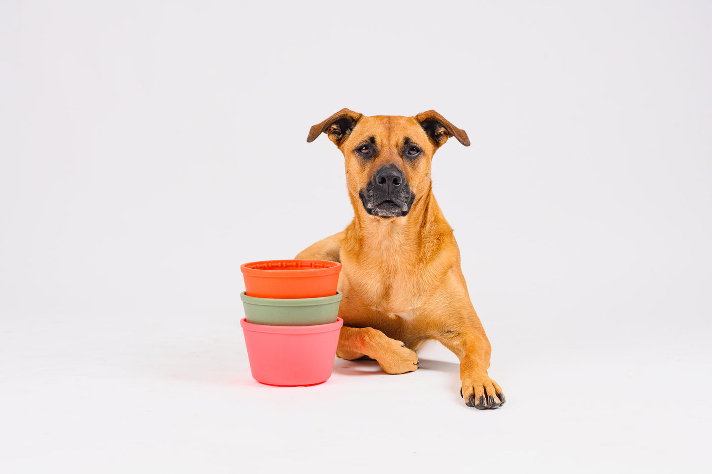 Pup Cup Slow Feeder - Forest