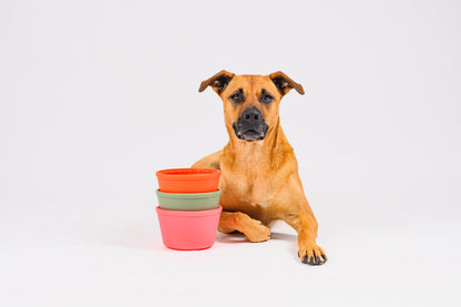 Pup Cup Slow Feeder - Forest