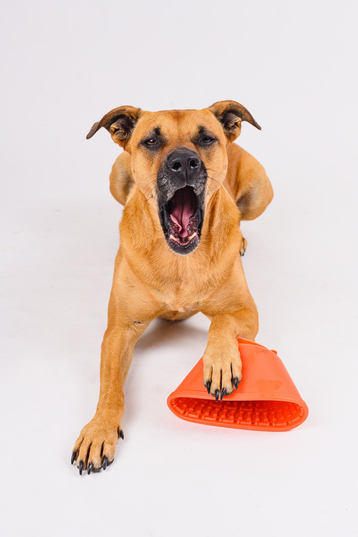 Pup Cup Slow Feeder - Terracotta