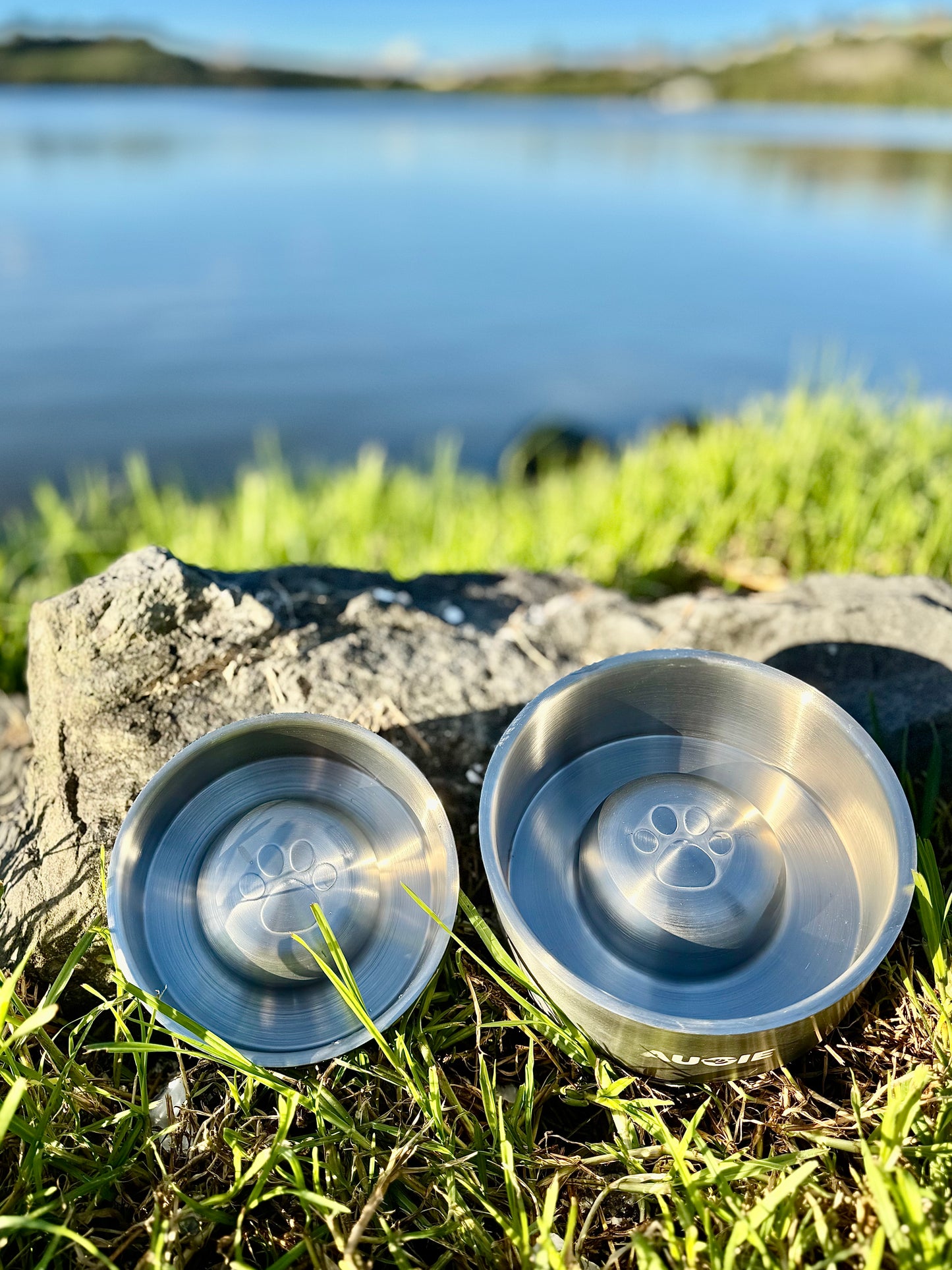 Insulated Stainless Steel Slow Feeder