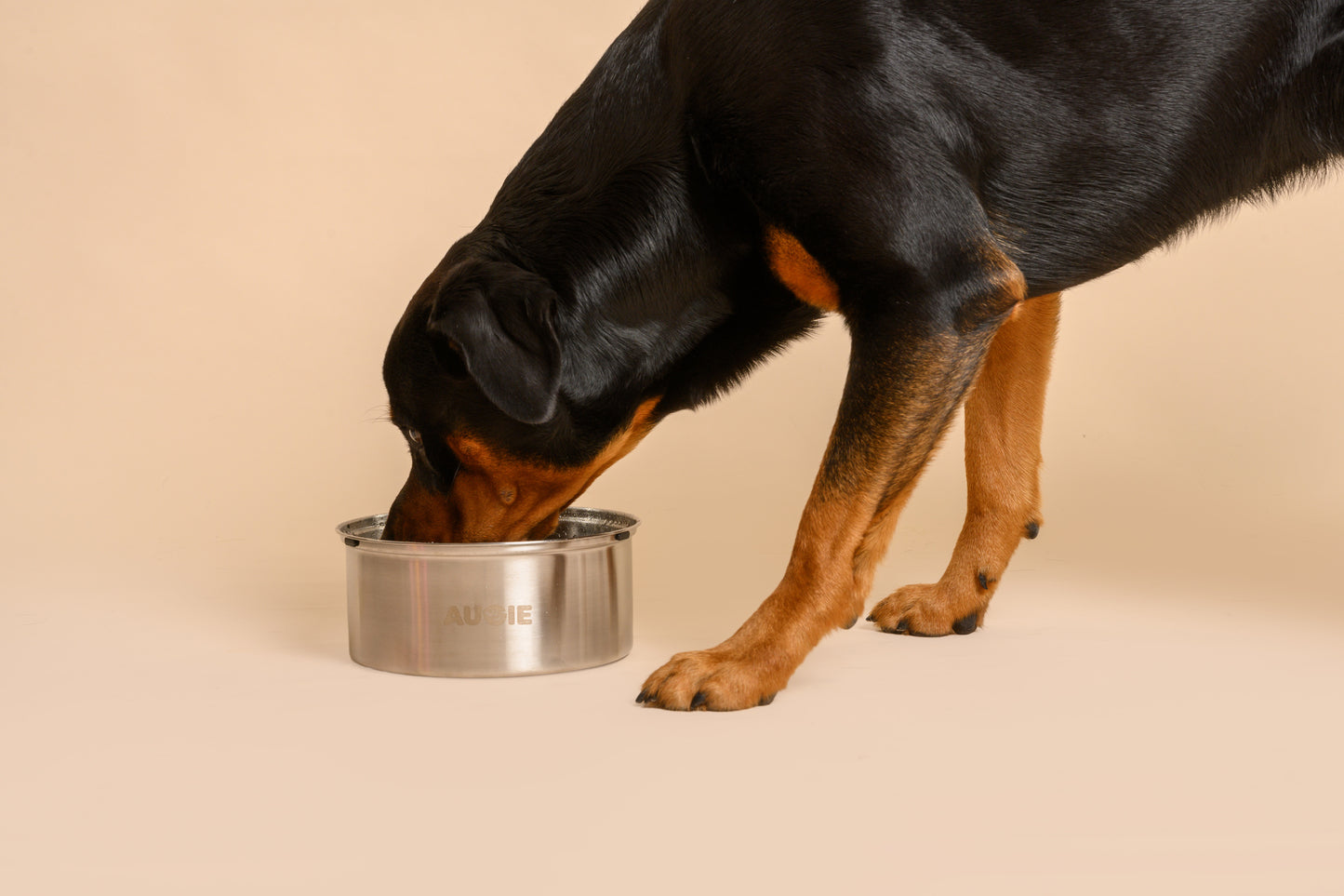 Stainless steel non-spilling water bowl